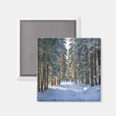 Aimant Glace et neige | Tatra Mountains, Pologne (Recto/Verso)
