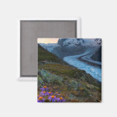 Aimant Glacier Monte Rosa | Suisse (Recto/Verso)