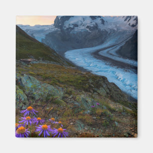 Aimant Glacier   Suisse de Monte Rosa