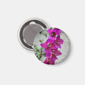 Aimant Gladiolus byzantin (Recto/Verso)