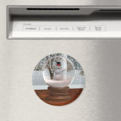 Aimant Globe des neiges (In Situ (Lave-vaisselle))