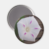 Aimant Glory White du matin (Recto/Verso)