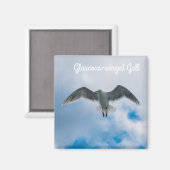 Aimant Goéland à ailes glauques (Recto/Verso)