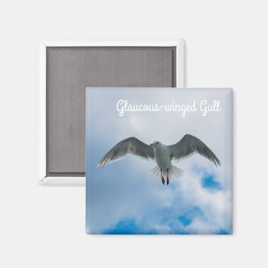 Aimant Goéland à ailes glauques (Recto/Verso)