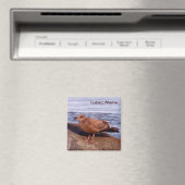 Aimant Goéland à Lubec, Maine (In Situ (Lave-vaisselle))