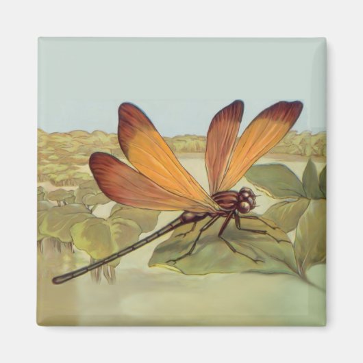 Aimant Golden Dragonfly (Devant)