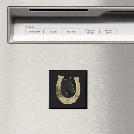 Aimant Golden horseshoe (In Situ (Lave-vaisselle))