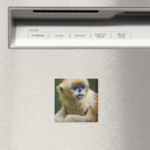 Aimant Golden monkey (In Situ (Lave-vaisselle))