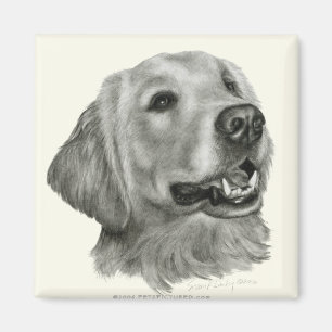 Aimant Golden retriever