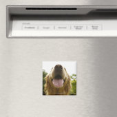 Aimant Golden Retriever 5 (In Situ (Lave-vaisselle))
