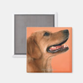 Aimant Golden Retriever 7 (Recto/Verso)