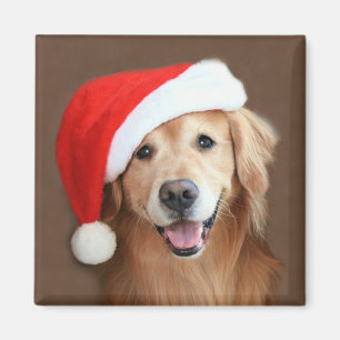 Aimant Golden retriever avec le casquette de Père Noël