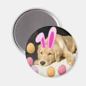 Aimant Golden Retriever de Pâques (Recto/Verso)