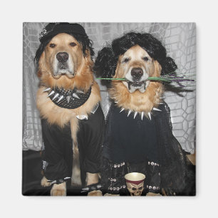 Aimant Golden retriever du côté de Goth