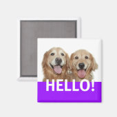 Aimant Golden Retriever Hello (Recto/Verso)