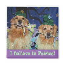 Golden Retriever Je crois aux fées