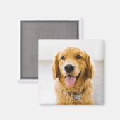 Aimant Golden Retriever souriant (Recto/Verso)
