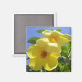 Aimant Golden Trumpet (Recto/Verso)