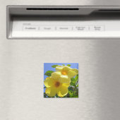 Aimant Golden Trumpet (In Situ (Lave-vaisselle))