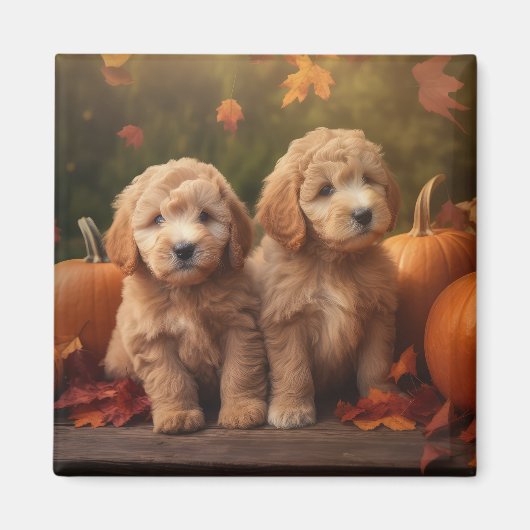 Aimant Goldendoodle Chiot Automne Citrouille délice (Devant)