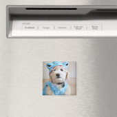 Aimant Goldendoodle En Costume De Requin (In Situ (Lave-vaisselle))
