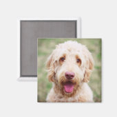 Aimant Goldendoodle souriant (Recto/Verso)