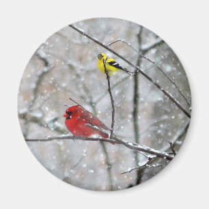 Aimant Goldfinch Et Cardinal