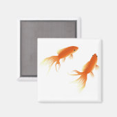 AIMANT GOLDFISH (Recto/Verso)
