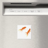 AIMANT GOLDFISH (In Situ (Lave-vaisselle))