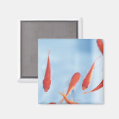 Aimant Goldfish 2 (Recto/Verso)