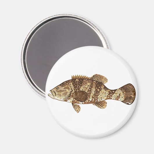 Aimant Goliath Grouper Gamefish, illustration vectorielle (Recto/Verso)