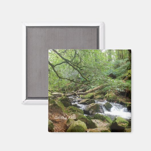 Aimant Golitha Falls River Fowey Cornwall Angleterre (Recto/Verso)