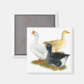 Aimant Goose Trio (Recto/Verso)
