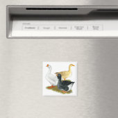 Aimant Goose Trio (In Situ (Lave-vaisselle))