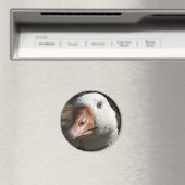 Aimant Goosey (In Situ (Lave-vaisselle))