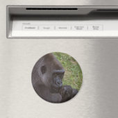 Aimant Gorilla (In Situ (Lave-vaisselle))
