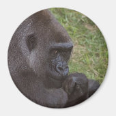 Aimant Gorilla (Devant)