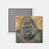 Aimant Gorilla (Recto/Verso)