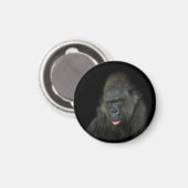 Aimant Gorilla Biddy (Recto/Verso)