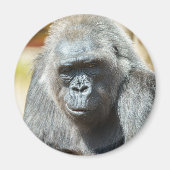 Aimant Gorilla Biddy (Devant)