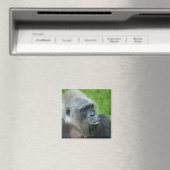 Aimant Gorilla Biddy (In Situ (Lave-vaisselle))