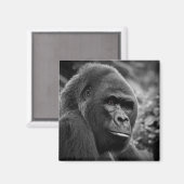 Aimant Gorilla Gros Portrait Noir Et Blanc (Recto/Verso)