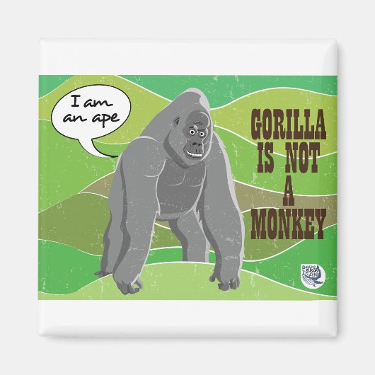 Aimant Gorilla n'est pas un singe (Devant)