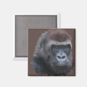 Aimant Gorilla Silverback (Recto/Verso)