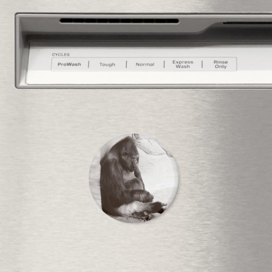 Aimant Gorilla Sleeping Photographie (In Situ (Lave-vaisselle))