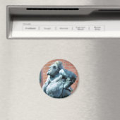 AIMANT GORILLAS (In Situ (Lave-vaisselle))