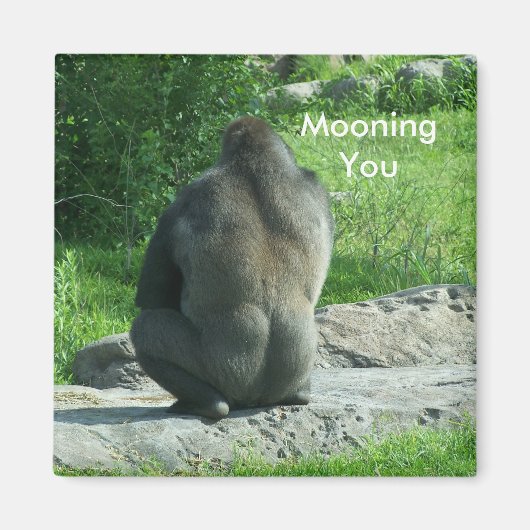 Aimant gorille à l'arrière, Mooning You (Devant)
