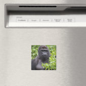 Aimant Gorille des plaines à dos argenté, Gorilla gorilla (In Situ (Lave-vaisselle))