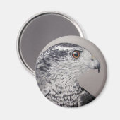 Aimant Goshawk du Nord (Recto/Verso)