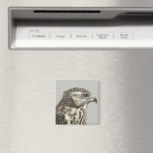 Aimant Goshawk immature (In Situ (Lave-vaisselle))
